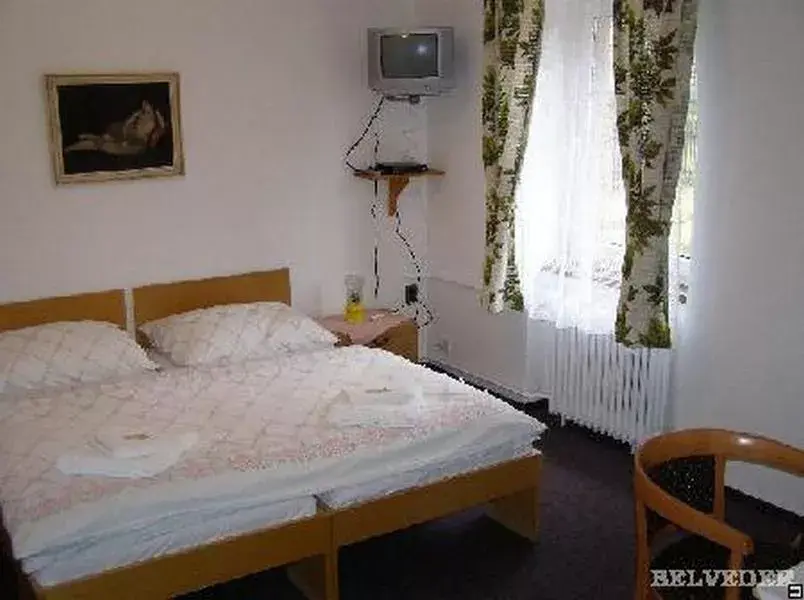 Photo 2 of Hotel Belveder